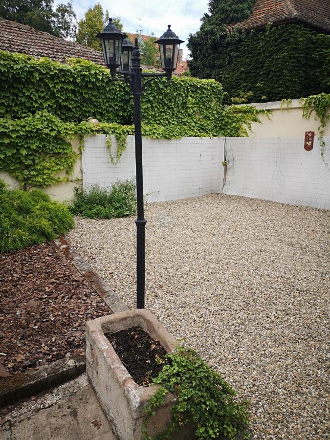 Appart 4 Pers Design Et Cosy Avec Jardin Au Coeur De Sélestat Kültér fotó