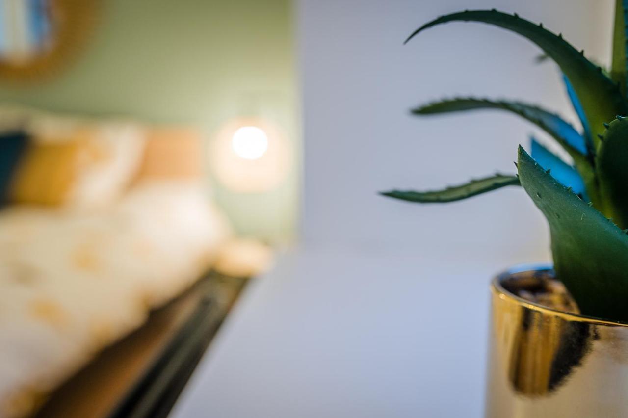 Appart 4 Pers Design Et Cosy Avec Jardin Au Coeur De Sélestat Kültér fotó